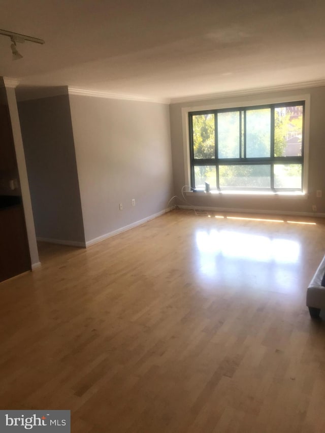 empty room with hardwood / wood-style flooring