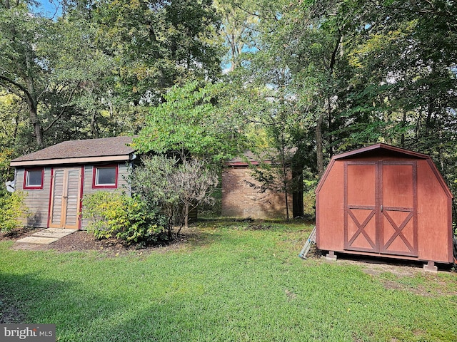 view of yard with a storage unit