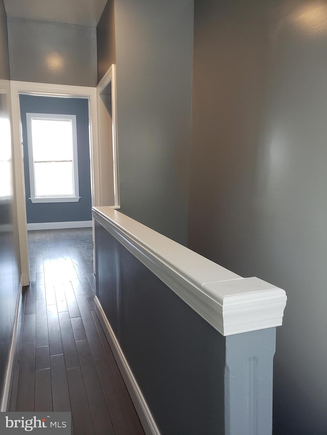 corridor featuring dark hardwood / wood-style floors