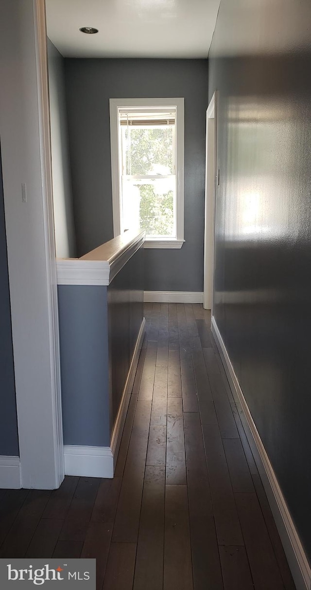 corridor featuring dark wood-type flooring