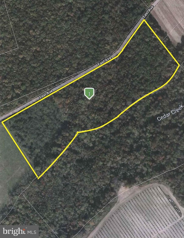 190 E Ave, Cedarville NJ, 08311 land for sale