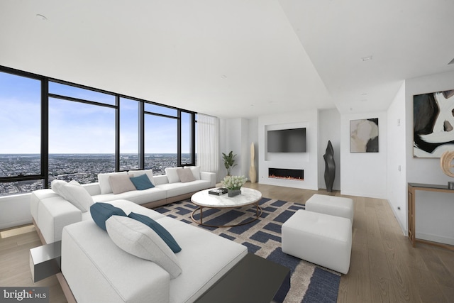 living room with floor to ceiling windows and hardwood / wood-style flooring