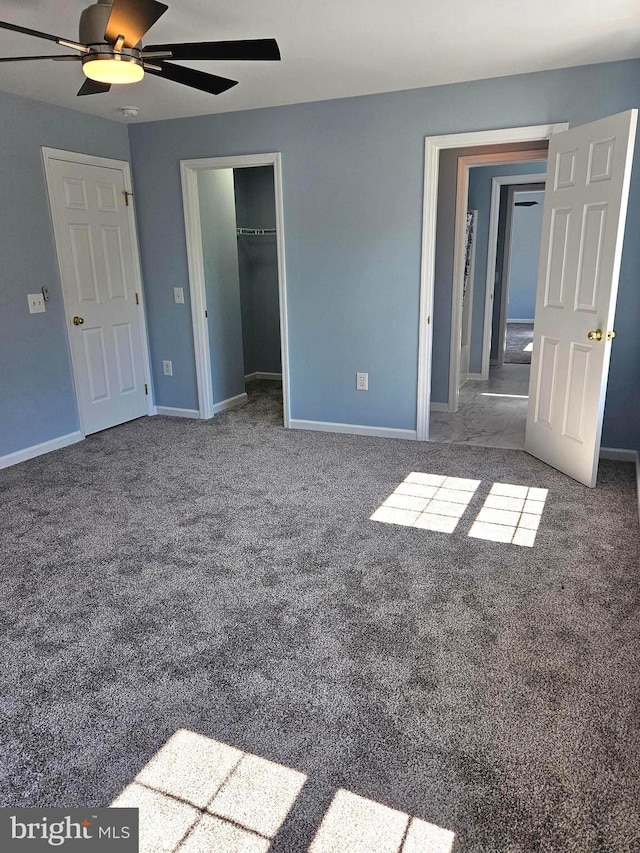 unfurnished bedroom featuring a closet, a walk in closet, dark carpet, and ceiling fan