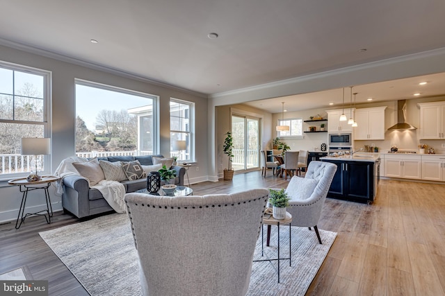 living room with crown molding, sink, light wood-type flooring, and a healthy amount of sunlight