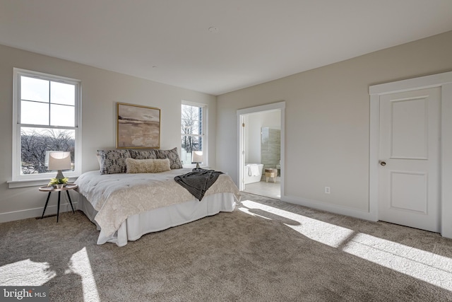 carpeted bedroom with ensuite bath and multiple windows