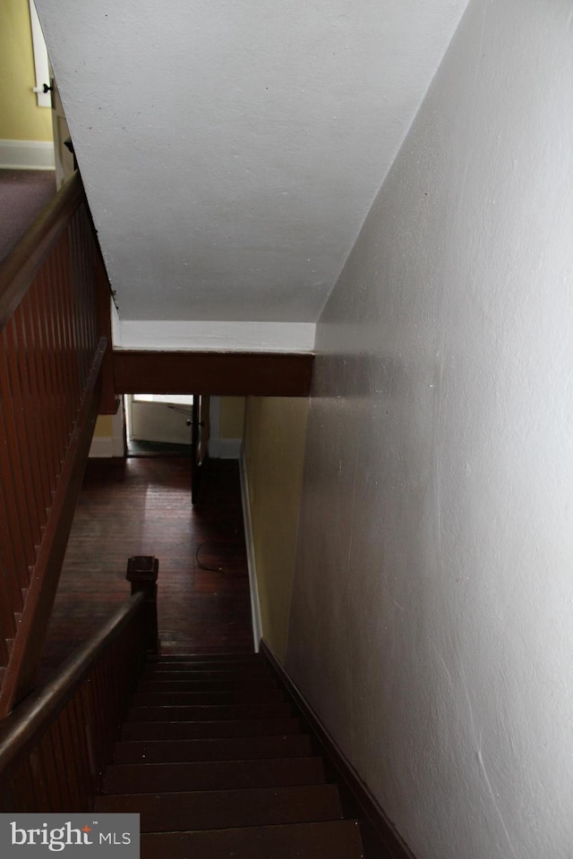 stairs with dark hardwood / wood-style flooring