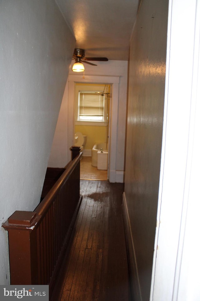 corridor with dark hardwood / wood-style flooring