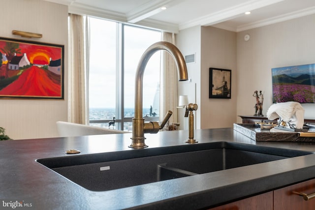 details featuring ornamental molding and sink