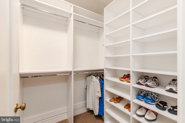 view of walk in closet