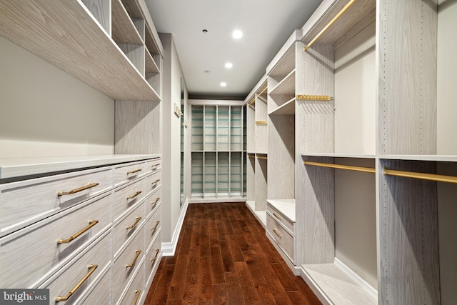 walk in closet featuring dark hardwood / wood-style flooring