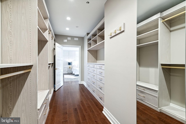 spacious closet featuring dark hardwood / wood-style floors