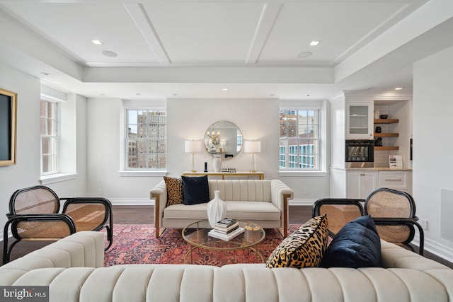 living room with a tray ceiling and hardwood / wood-style flooring