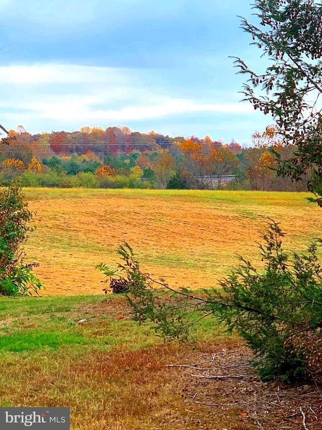 0 S Main St S, Bowling Green VA, 22427 land for sale