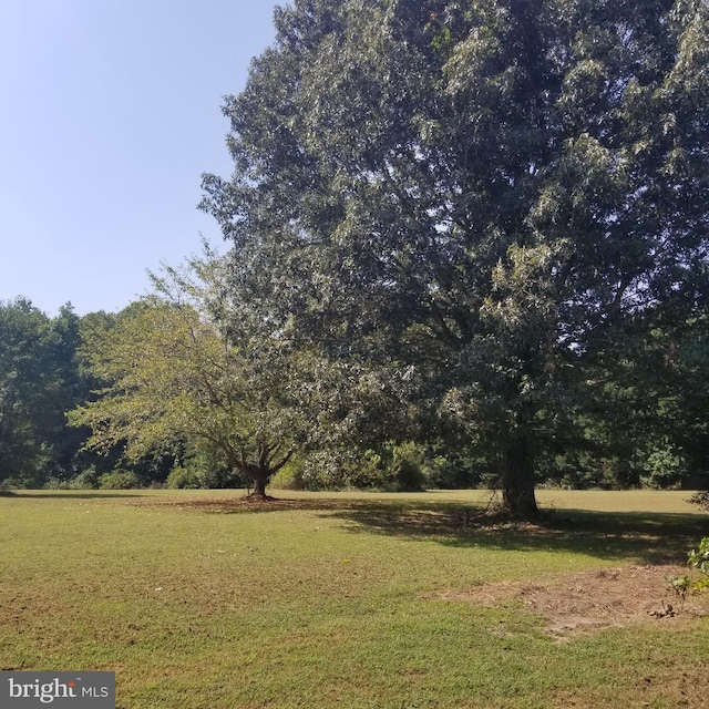 Greensboro Rd, Denton MD, 21629 land for sale