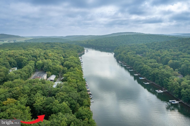 bird's eye view with a water view