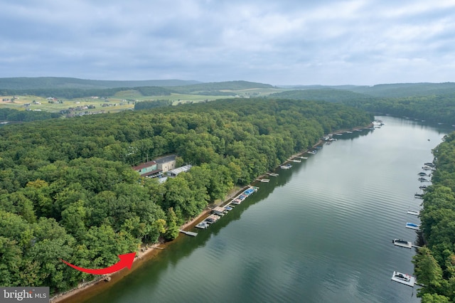 bird's eye view with a water view