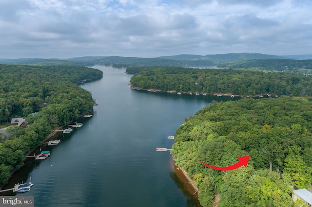 birds eye view of property featuring a water view