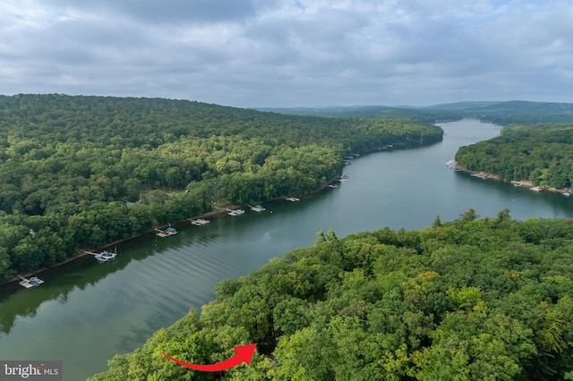 birds eye view of property with a water view