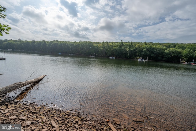 view of dock featuring a water view