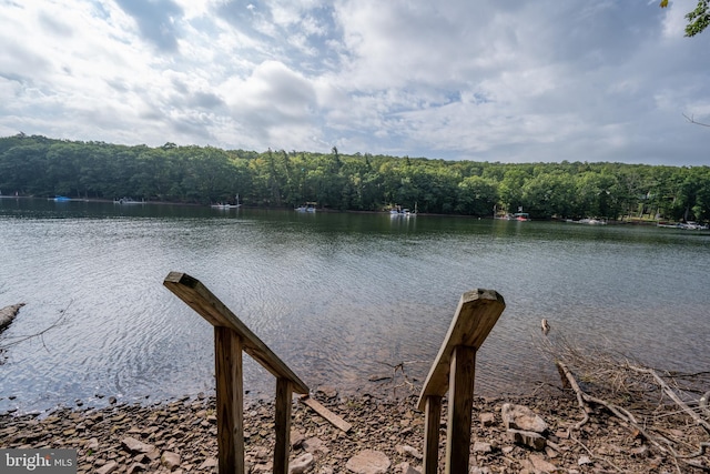 view of dock featuring a water view