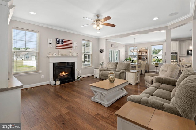 living room with ceiling fan, dark hardwood / wood-style floors, and crown molding