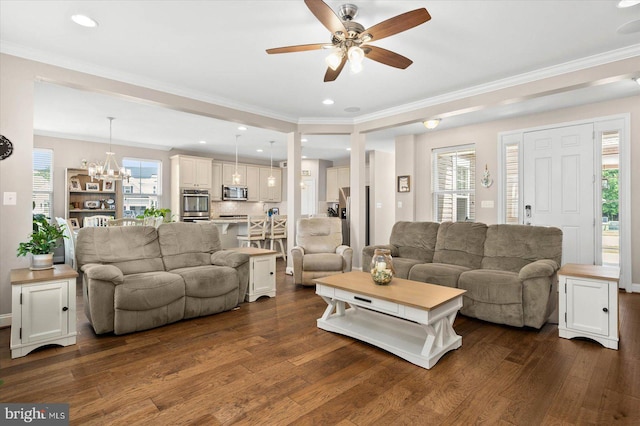 living room featuring ornamental molding, ceiling fan with notable chandelier, and dark hardwood / wood-style flooring