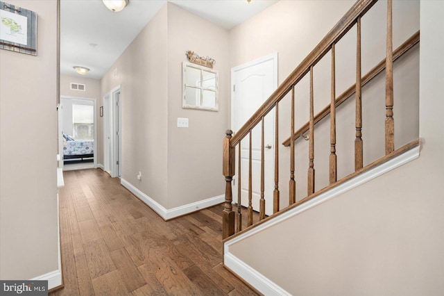 entryway featuring dark wood-type flooring