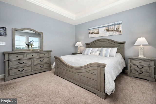 bedroom featuring light carpet and a raised ceiling