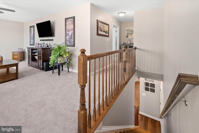 stairs featuring ceiling fan and light carpet