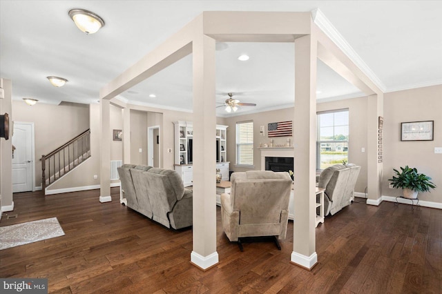 living room featuring ceiling fan, ornamental molding, and dark wood-type flooring