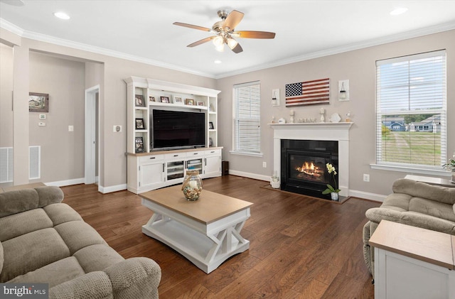 living room with crown molding, ceiling fan, dark wood-type flooring, and a wealth of natural light