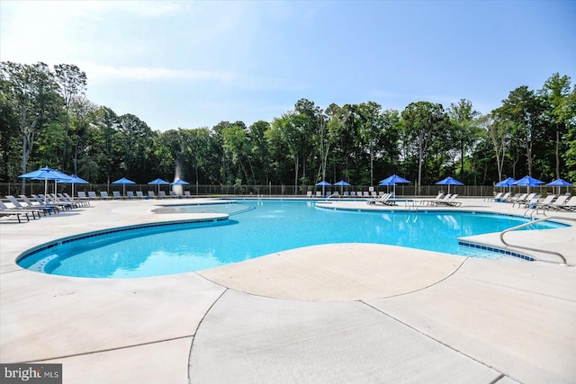 view of pool featuring a patio