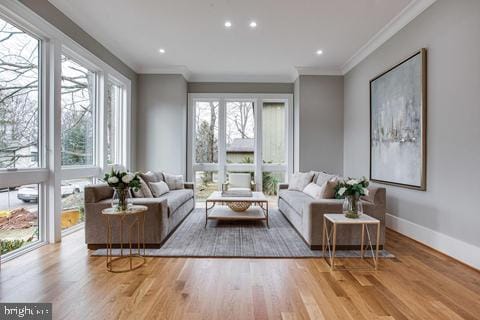 living room with light hardwood / wood-style floors and ornamental molding