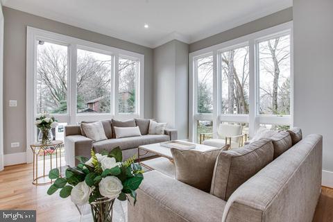 living room with light hardwood / wood-style floors