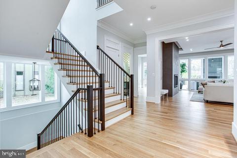 staircase featuring hardwood / wood-style flooring, ceiling fan, and ornamental molding