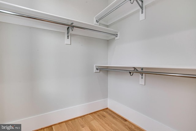 walk in closet featuring hardwood / wood-style flooring