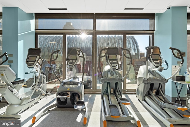 gym featuring floor to ceiling windows, carpet, and a paneled ceiling