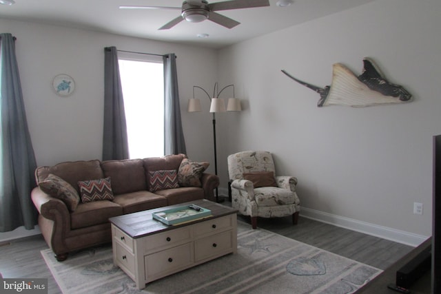 living room with ceiling fan and dark hardwood / wood-style floors