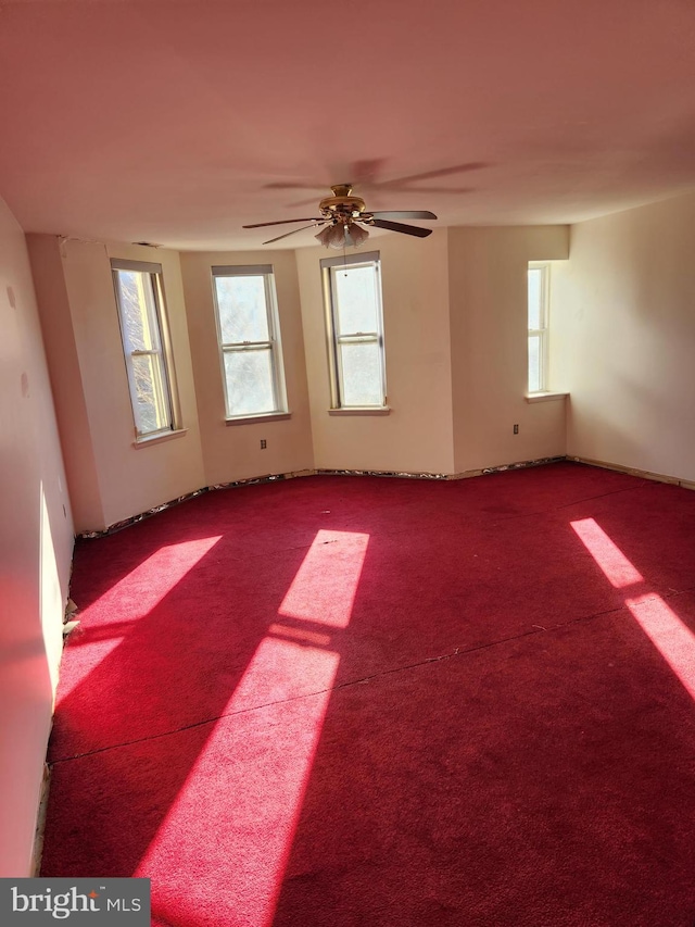 spare room with ceiling fan and carpet floors