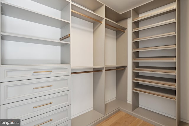 walk in closet featuring light hardwood / wood-style floors