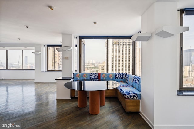 sitting room with a wealth of natural light and dark wood-type flooring