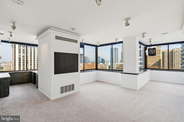 carpeted spare room with a healthy amount of sunlight