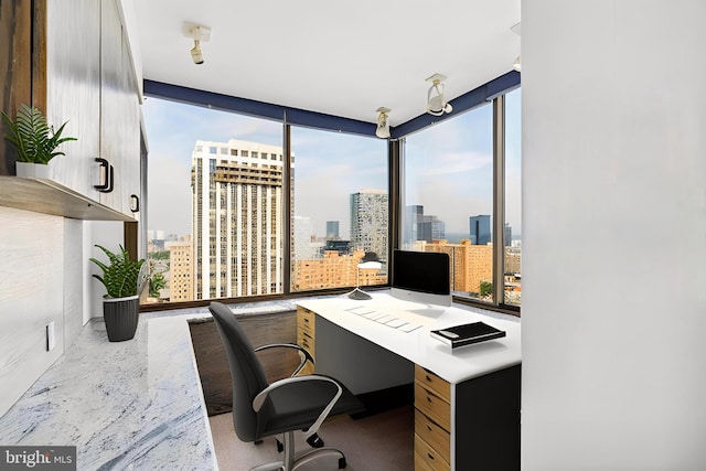 office area featuring a healthy amount of sunlight and floor to ceiling windows