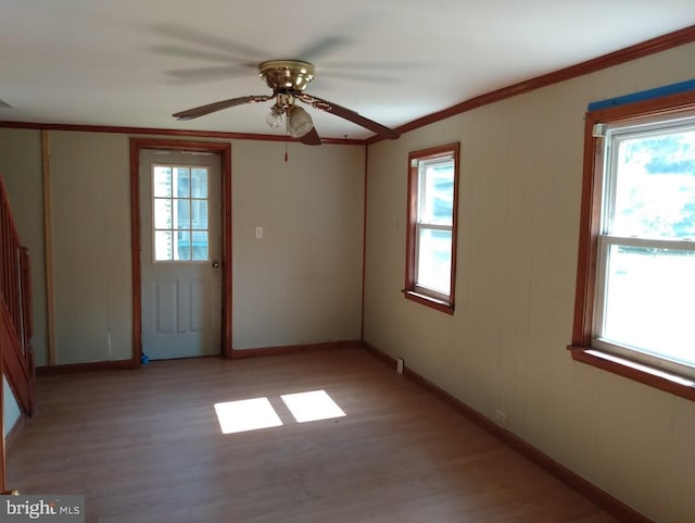 spare room with ceiling fan, crown molding, and light hardwood / wood-style floors