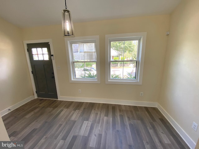 foyer with dark wood-type flooring