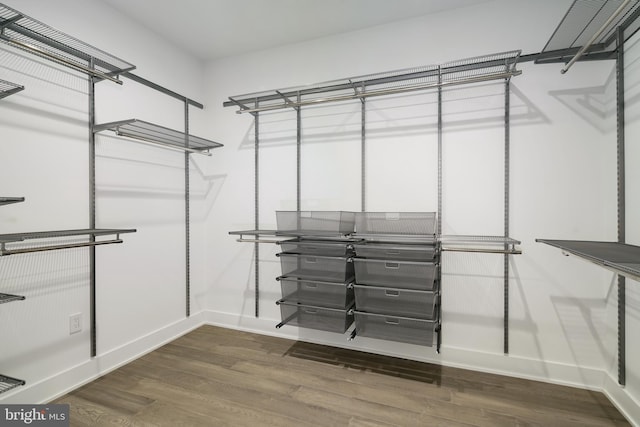 walk in closet featuring dark hardwood / wood-style floors