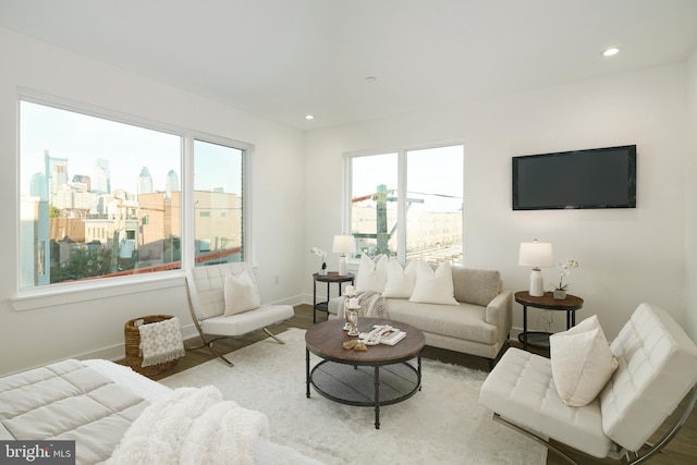 living room with plenty of natural light and light hardwood / wood-style floors