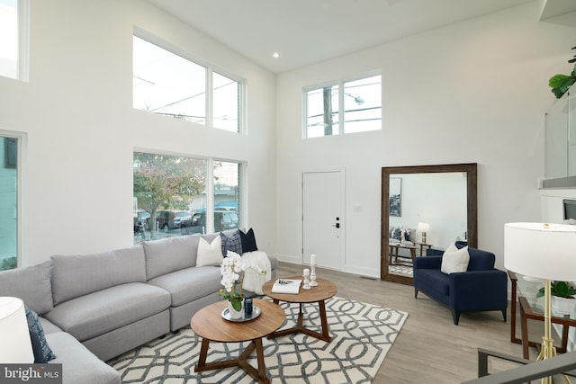 living room featuring light hardwood / wood-style floors and a high ceiling