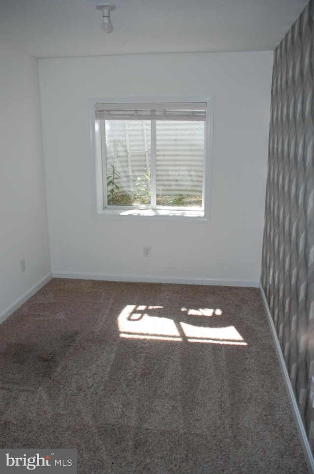 spare room featuring carpet flooring