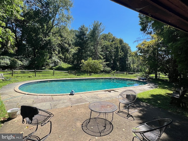 view of swimming pool with a yard and a patio